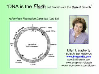 “DNA is the Flash but Proteins are the Cash of Biotech ”