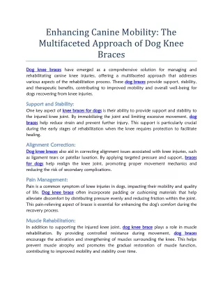 Enhancing Canine Mobility The Multifaceted Approach of Dog Knee Braces