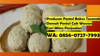 Buka Kemitraan! WA 0856-0727-7993 Pabrik Pentol Bakso Jamur Malang