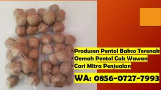 Buka Kemitraan! WA 0856-0727-7993 Pabrik Pentol Bakso Lezat Pasuruan