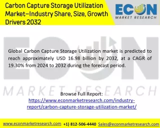 Carbon Capture Storage Utilization Market