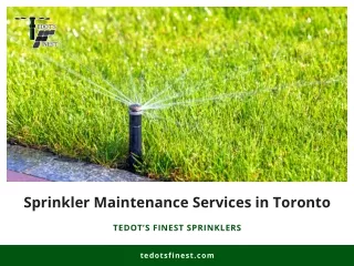 Don't Let Sprinkler Issues Ruin Your Summer Fun: Call Tedot's Finest Sprinklers