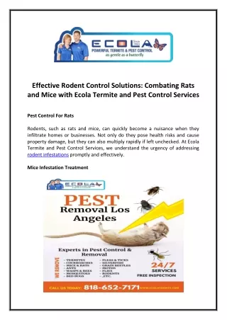 Effective Rodent Control Solutions: Combating Rats and Mice with Ecola Termite a