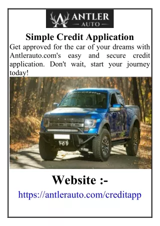 Simple Credit Application