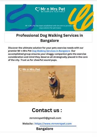 Professional Dog Walking Services in Bangalore