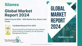 Silanes Market Trends, Industry Trends, Growth, Segments 2024-2033