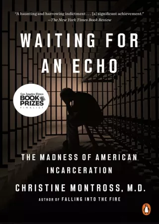 ⚡PDF ❤ Waiting for an Echo: The Madness of American Incarceration