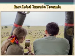 Best Safari Tours in Tanzania