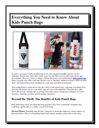 Everything You Need to Know About Kids Punch Bags