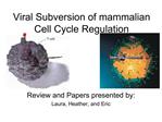 Viral Subversion of mammalian Cell Cycle Regulation