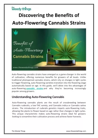 Discovering the Benefits of Auto-Flowering Cannabis Strains