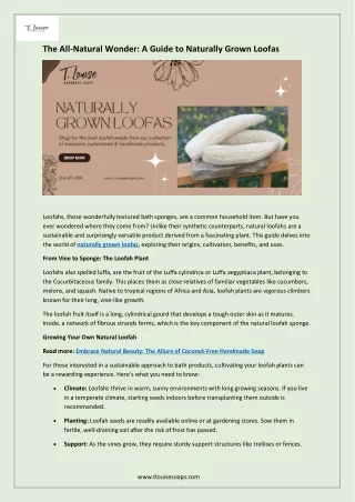 The All-Natural Wonder - A Guide to Naturally Grown Loofas