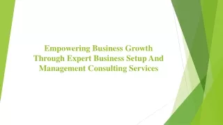 Empowering Business Growth  Business Setup & Management Consulting Services