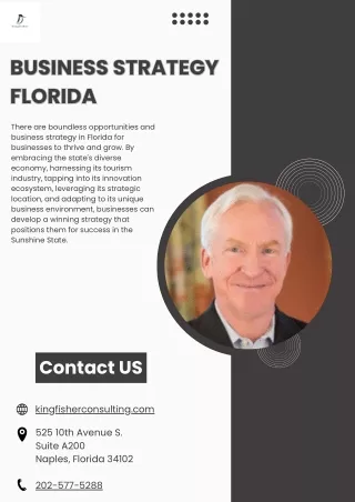 Business Strategy In Florida - Kingfisher Growth Strategies