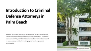 Introduction-to-Criminal-Defense-Attorneys-in-Palm-Beach