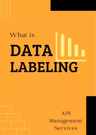 What is data labeling