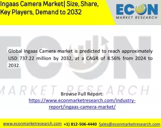 Ingaas Camera Market  Size, Share, Trends, Growth Drivers and SWOT Analysis Repo