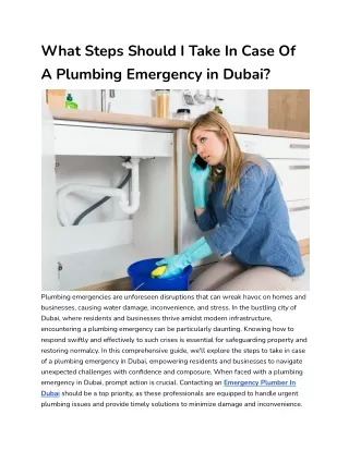 What Steps Should I Take In Case Of A Plumbing Emergency in Dubai_