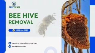 Bee Hive Removal