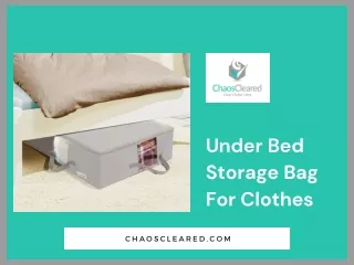 Under Bed Storage Bag For Clothes - Chaos Cleared