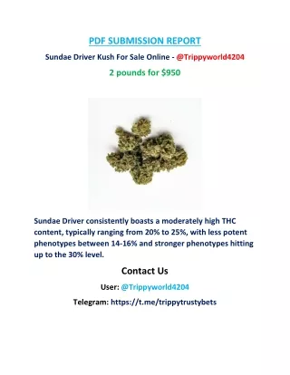 Sundae Driver Kush For Sale Online - @Trippyworld4204