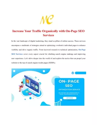 On-Page SEO Services