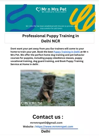 Professional Puppy Training in Delhi NCR