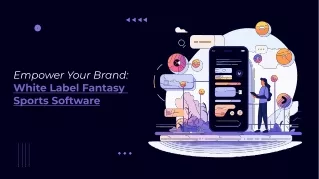 White Label Fantasy  Sports Software