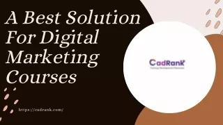 Digital Marketing Course in Jaipur