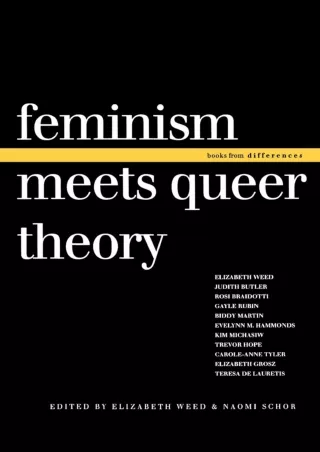 PDF/READ❤  Feminism Meets Queer Theory (Books from Differences)