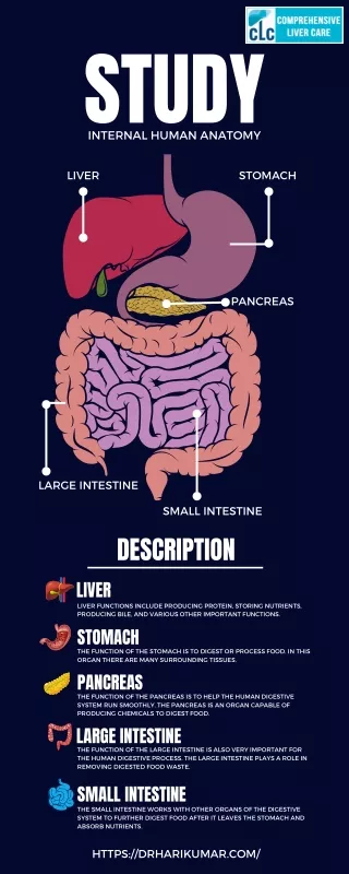 intestine specialist in kochi