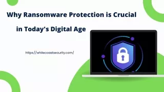 Why Ransomware Protection is Crucial in Today's Digital Age