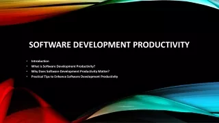 Software Development Productivity