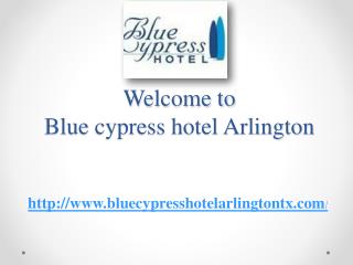 Blue cypress hotel Arlington