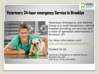 veterinary 24-hour emergency