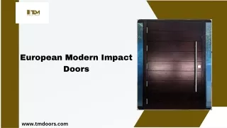 European Modern Impact Doors