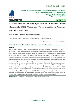 The occurence of the least pipistrelle Bat, Pipistrellus tenuis (Temminck, 1840)