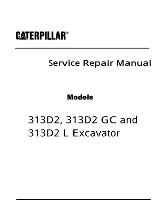 Caterpillar Cat 313D2 Excavator (Prefix RDE) Service Repair Manual (RDE00001 and up)