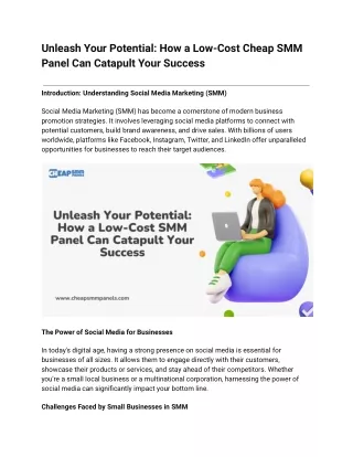 Unleash Your Potential_ How a Low-Cost Cheap SMM Panel Can Catapult Your Success