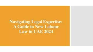 Navigating Legal Expertise - A Guide to New Labour Law in UAE 2024