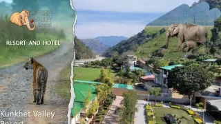 Best Resorts Near Jim Corbett National Park