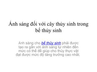 Ánh sáng đối với cây thủy sinh trong bể thủy sinh