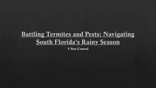 Battling Termites and Pests Navigating South Florida's Rainy Season