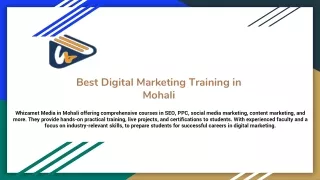 Best Digital Marketing Training in Mohali