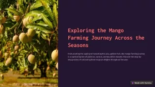 Mango Farmland Chennai| Mango Farmland For Sale in Chennai  - M/S Holiday Farms