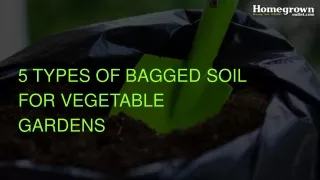 5 types of bagged soil for vegetable garden