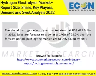 Hydrogen Electrolyzer Market