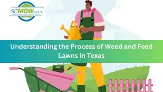 Understanding the Process of Weed and Feed Lawns in Texas