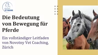 Veterinärmedizinische Beratung Pferd | Novotny Vet Coaching