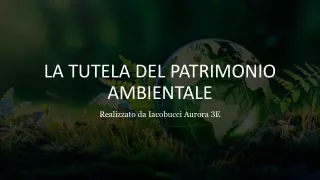 La tutela del patrimonio ambientale-Iacobucci Aurora